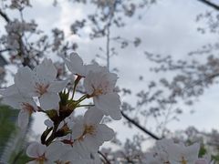 -西北湖绿化广场