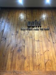 -ODIN 奥丁形象设计 
