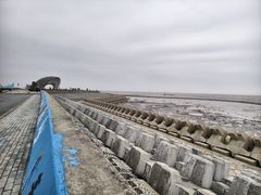 -南汇嘴观海公园