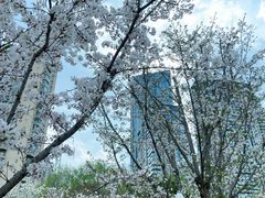 -西北湖绿化广场