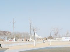 -东营园博园