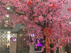 -新兴·金羊座·粤菜点心(乐峰店)