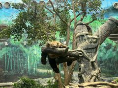 -石排湾郊野公园