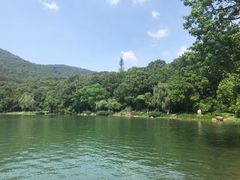 -紫霞湖公园