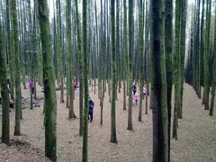 -山王坪喀斯特国家生态公园