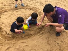 -春花秋色城市公园