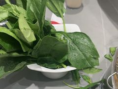 -宴全牛粤来越牛潮汕鲜牛肉火锅(海州万达广场店)