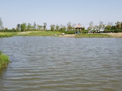 -春花秋色城市公园