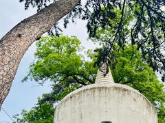 -潭柘寺景区