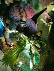 -恐龙探索乐园(磁器口店)