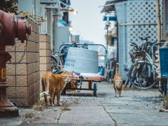 -南丫岛