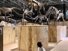 -世界恐龙谷景区