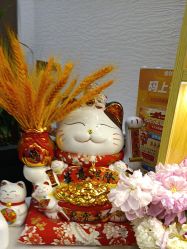 -芳朵美容养生SPA