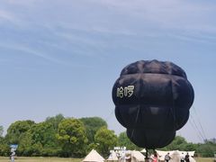 -苏州太湖国家湿地公园