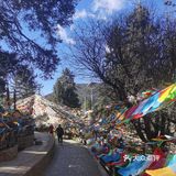 香格里拉小众朝拜寺庙｜本地藏民日常打卡，香火很旺