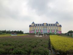 -百万葵园
