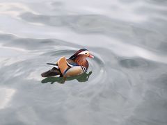 -北海公园