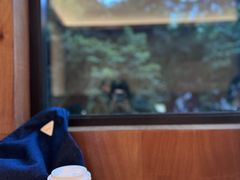 -LOTTA COFFEE(安居博文苑店)