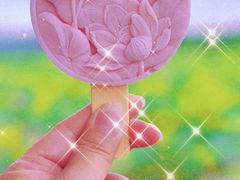 -荷塘月色湿地公园·向阳花洲