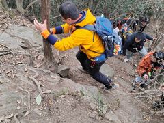 -午潮山国家森林公园