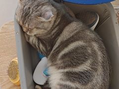 -平行世界·猫咖(首经贸店)
