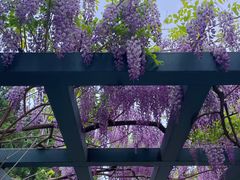 -北京市劳动人民文化宫(太庙)