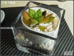 -上海浦东丽晟假日酒店-多瑙河全日餐厅