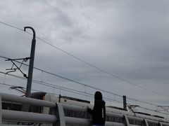 -海堤纪念公园