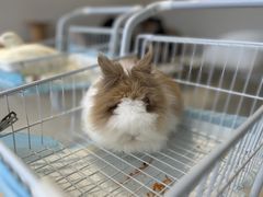 -怪兽屋·羊驼·猫咖·狗咖(俊华广场店)