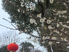 -钟山体育运动公园