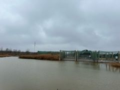 -盐城丹顶鹤湿地生态旅游区