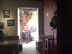 -古树酸奶(八廓南街店)