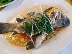 -新金盛·海鲜酒楼(盐田店)