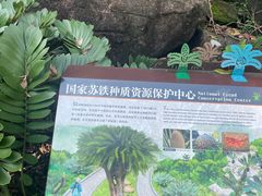 -深圳仙湖植物园