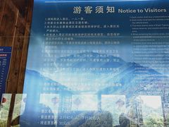 -东天目山风景区