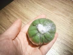 -护国寺小吃(地安门店)