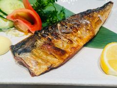 -禾绿寿司·定食·拉面·烧炸(宝安大仟里店)