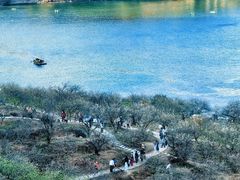 -广州市流溪河国家森林公园