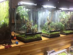 -趣陶陶艺手工坊(新世界百货重庆店)