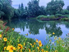 -西溪国家湿地公园