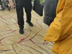 -新加坡航空公司(ION)