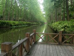 -合肥滨湖国家森林公园