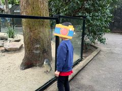 -费瑟代尔野生动物园