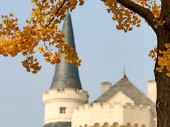 -北京张裕爱斐堡酒庄