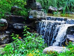 -北京西山国家森林公园