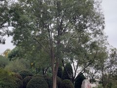 -燕郊植物园