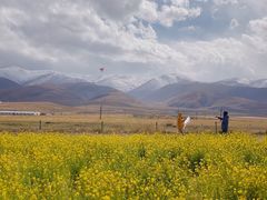 -青海湖国家重点风景名胜区