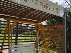 -前小桔亲子创意农场·草莓采摘·露营烧烤