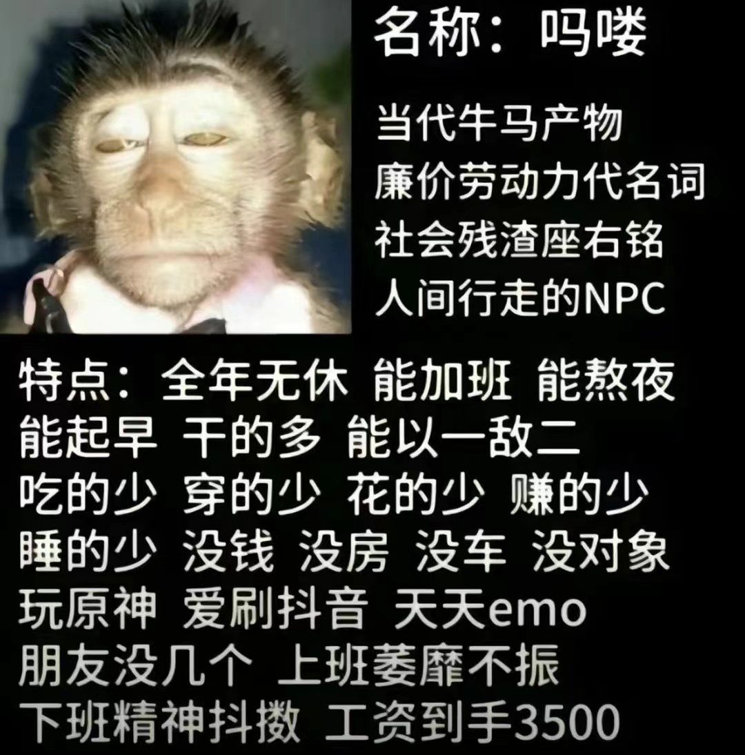 吗喽 当代牛马