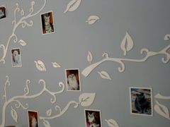 -喵的天空名猫咖啡馆·撸猫·猫舍·用品